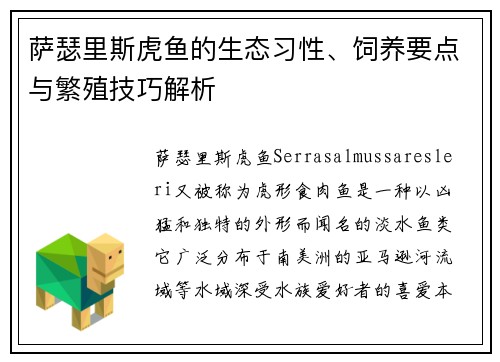 萨瑟里斯虎鱼的生态习性、饲养要点与繁殖技巧解析